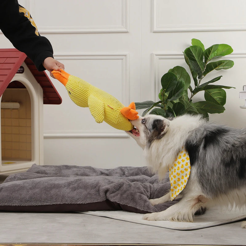 Quack Relax Dog Toy