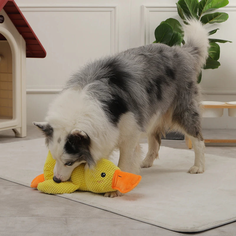 Quack Relax Dog Toy