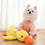 Quack Relax Dog Toy