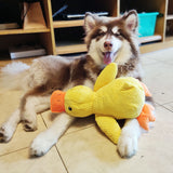 Quack Relax Dog Toy