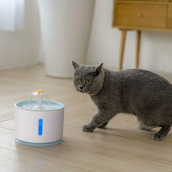 Pet Water Fountain