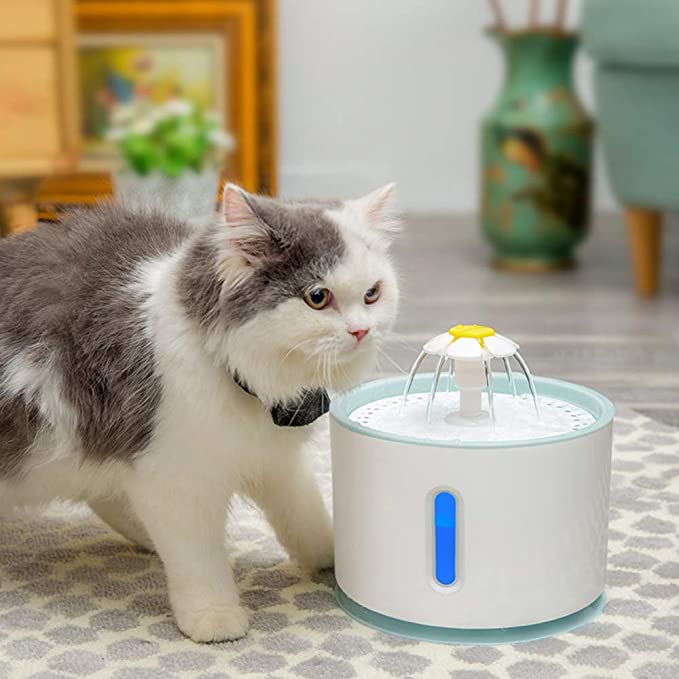 Pet Water Fountain