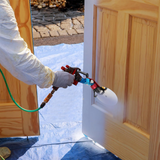 Pro Paint Spray Edger