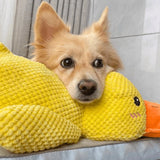 Quack Relax Dog Toy